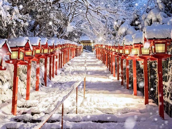 inochinokoto@gmail.com