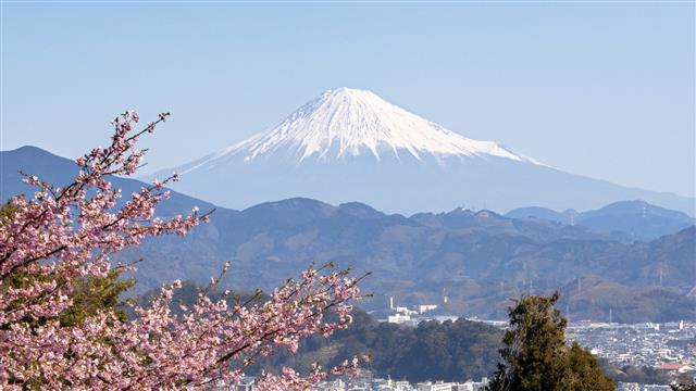 inochinokoto@gmail.com