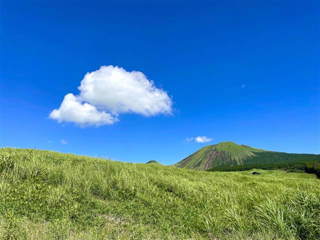 inochinokoto@gmail.com