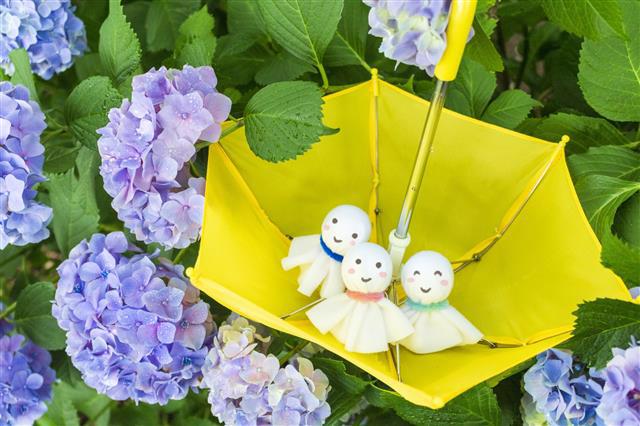 inochinokoto@gmail.com