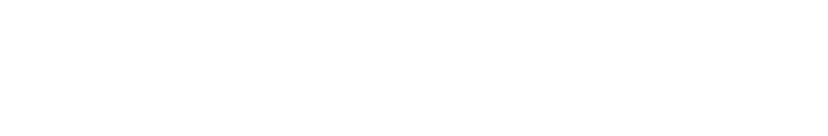 the IBIC logo