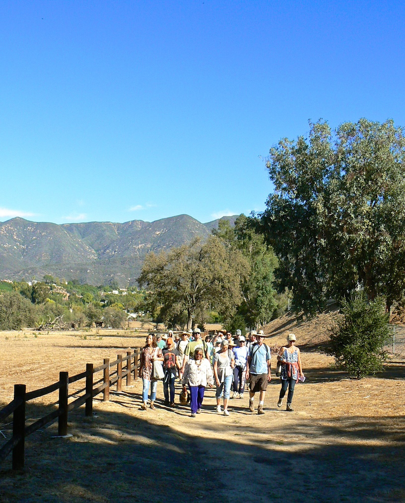 Herb Walk on Ojai Meadows Preserve