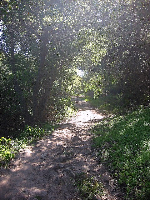 Cozy Dell Trail