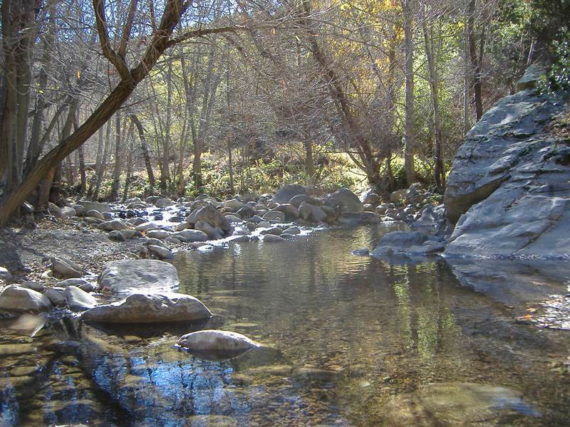 Upper North Fork Matilija Creek