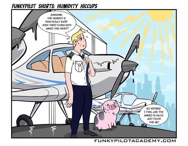 Cartoon of a sweating pilot and sweating pig in front of a sweating airplane
