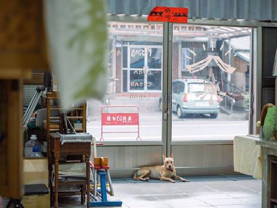 彼心書店