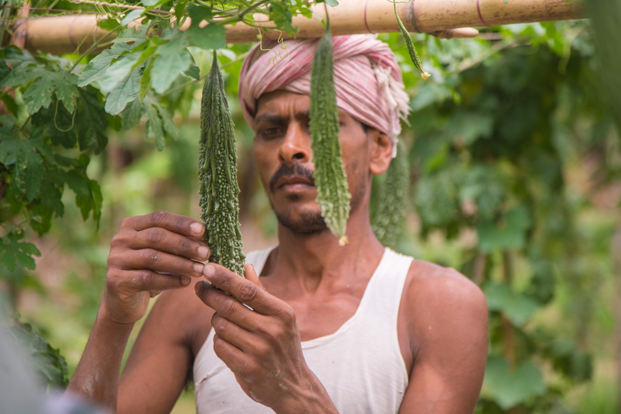 NATURE+: Moving toward a cyan and sustainable future in India!