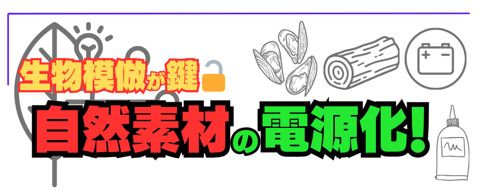 生物模倣が鍵、木製炭素電池技術を用いた自然素材の電源化|東北大学 阿部博弥