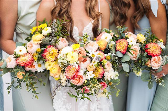 bride and bridesmaids