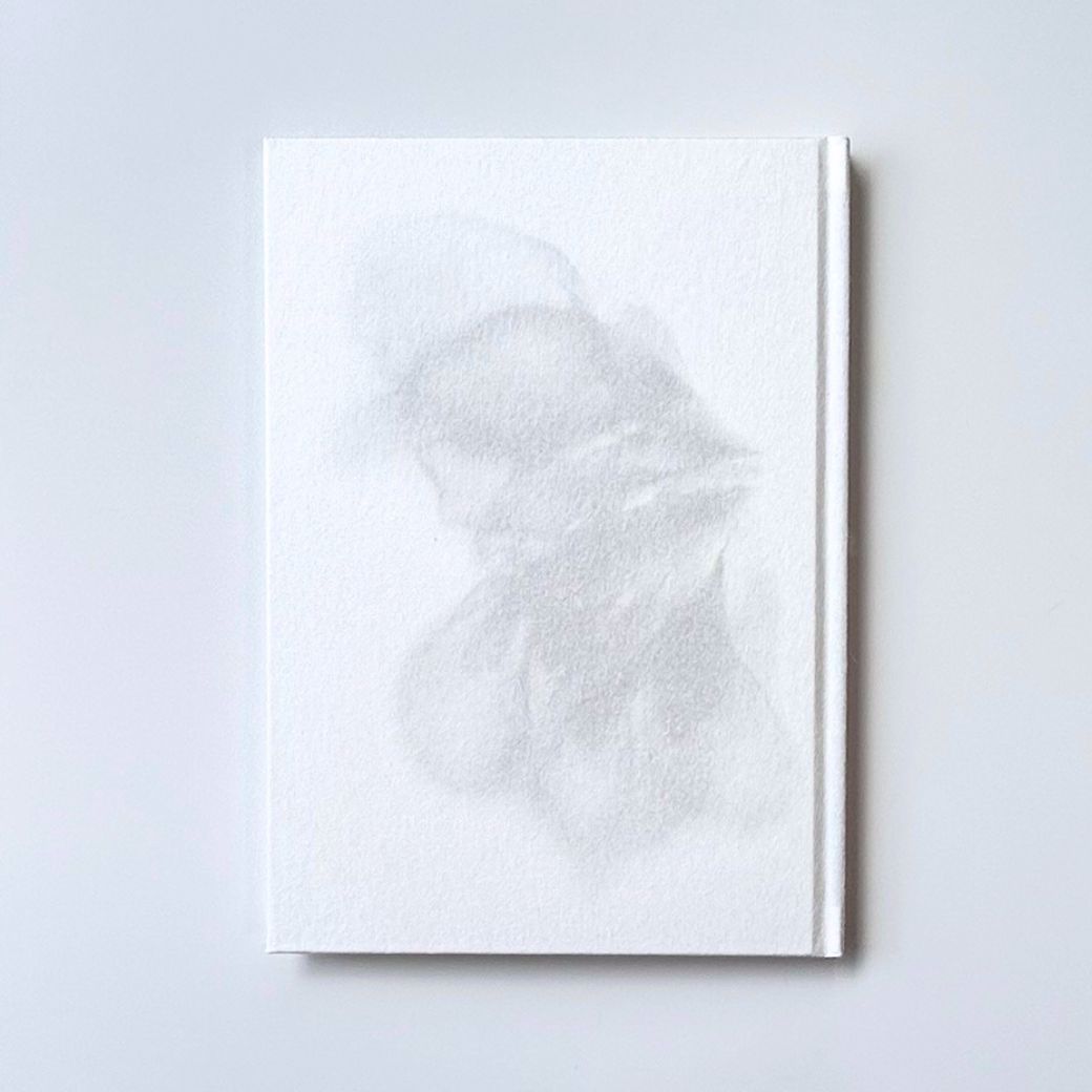 カレン様 初の絵本作品『なみだの庭』ハードカバー。絵門EMON EDITION刊行、新里製本所製本
