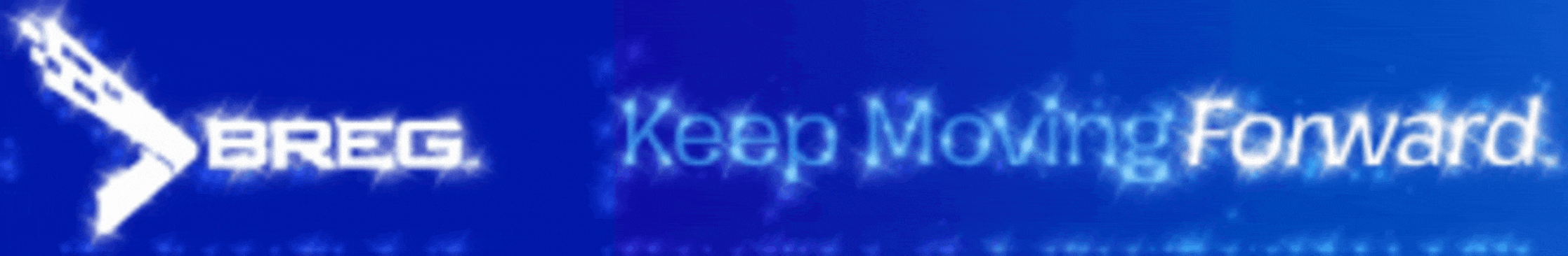breg logo