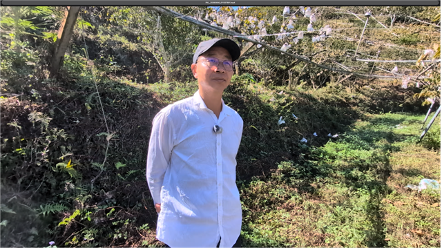 林世豐的柿子園