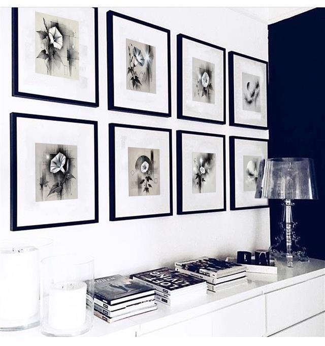 Collections of Morning Glory Artwork