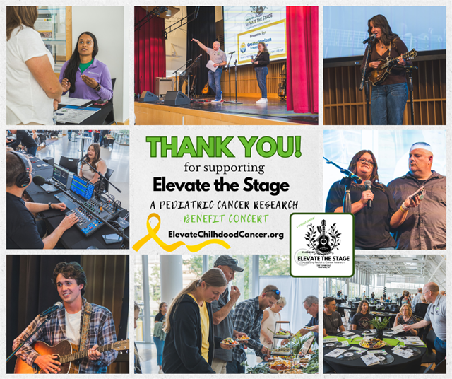 Elevate the Stage Columbus, a pediatric research benefit concert.