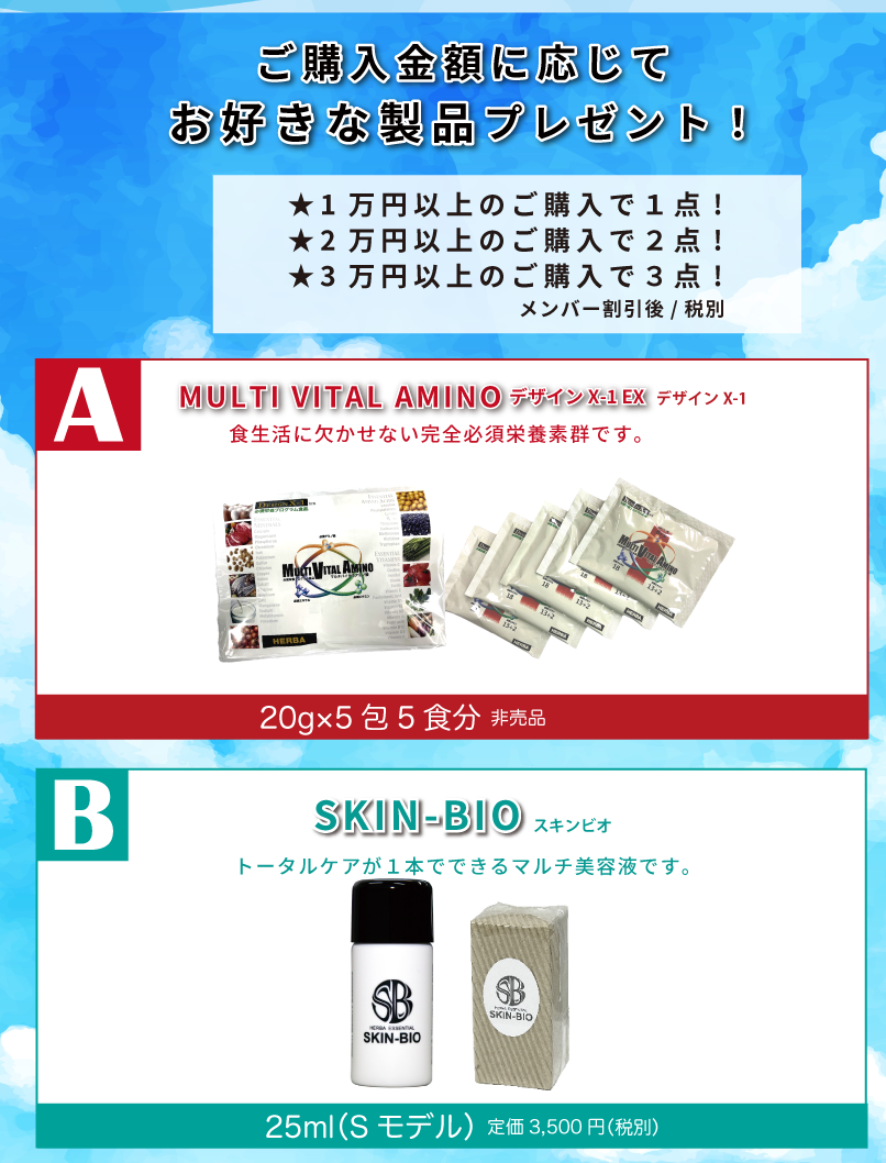 プレゼント2