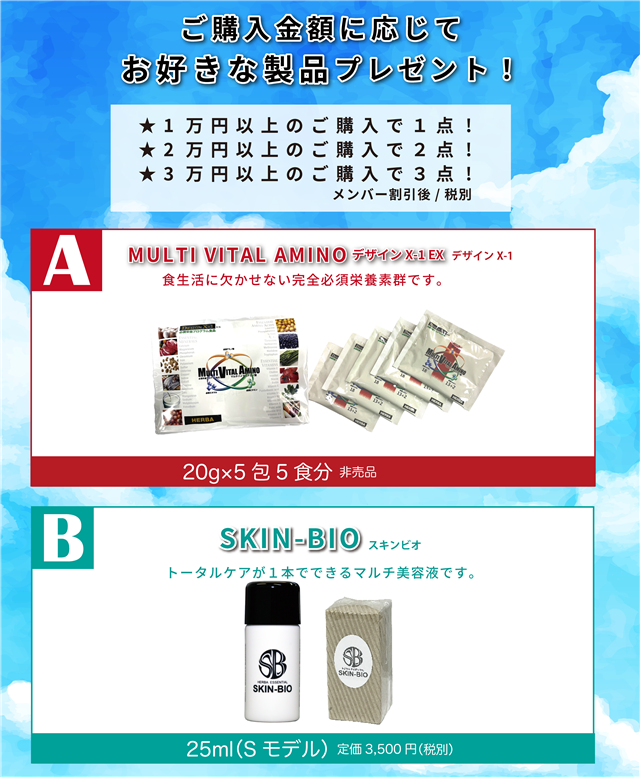 プレゼント2