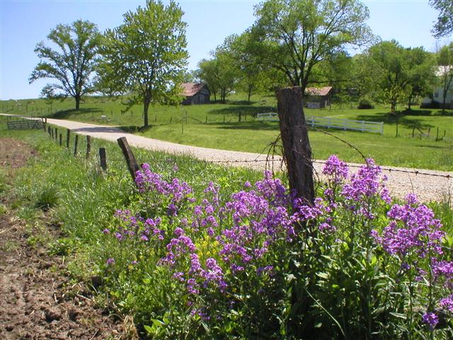 Road to Wenwood
