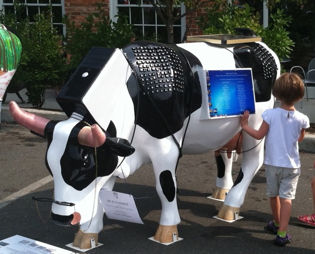 WiFi Cow