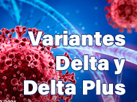 ¿Qué sabemos de las variantes Delta y Delta Plus del virus SARS-CoV-2?