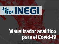 INEGI - Visualizador analítico para el Covid-19
