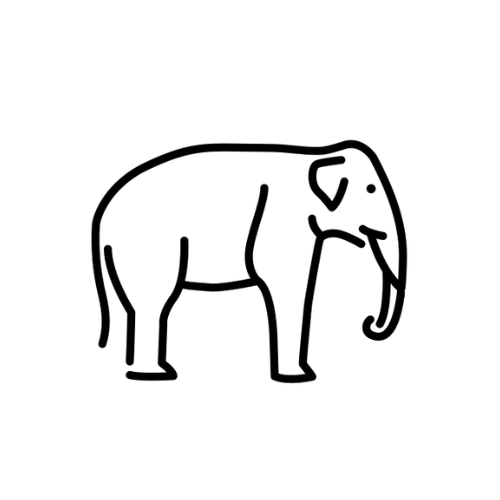 Indian Elephant