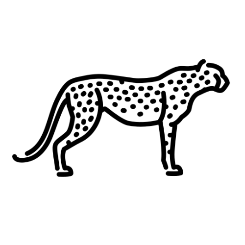 Cheetah