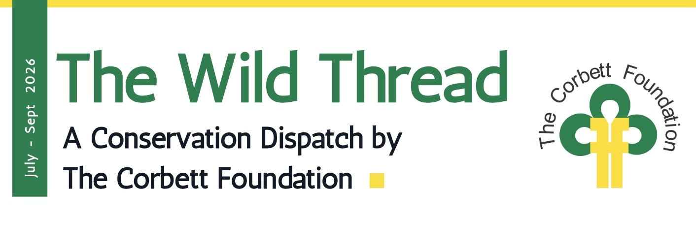 The Wild Thread- A conservation Dispatch by The Corbett Foundation
