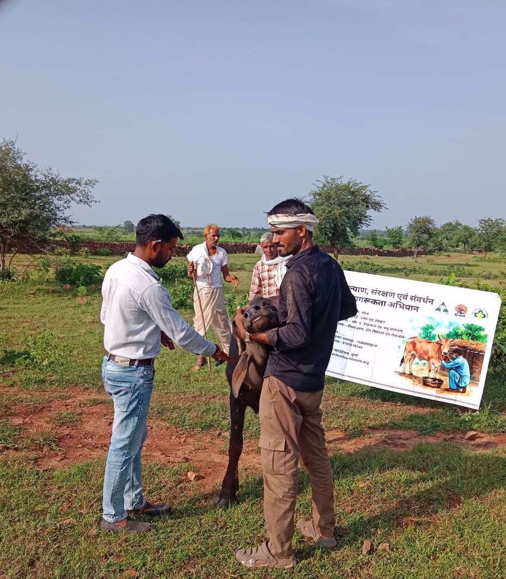 Strengthening Livestock Health Through One Health