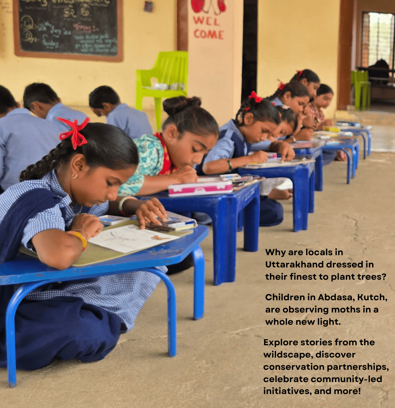 Discover TCF's Updates 