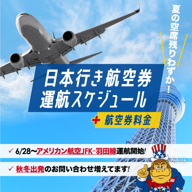 運航スケジュール＋航空券料金