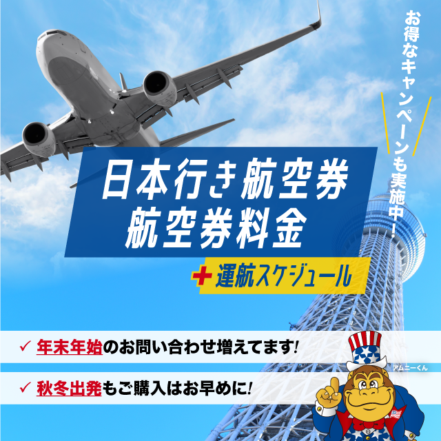 運航スケジュール＋航空券料金