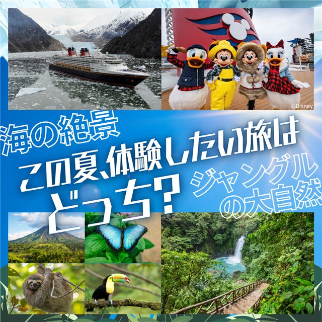 夏旅行