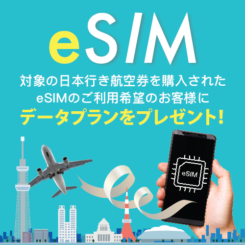 eSIM特典