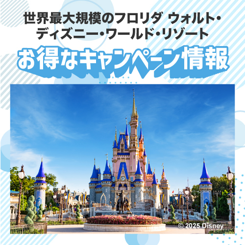 ディズニーキャンペーン情報