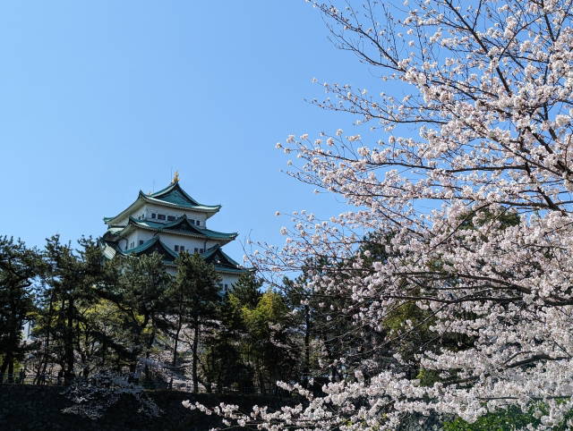 Aichi Castle