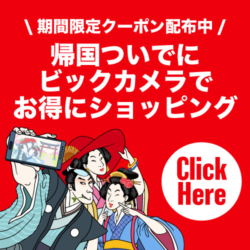 ビックカメラでお得にショッピング