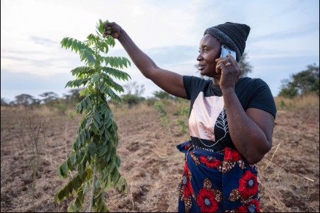 Rural Women farmer