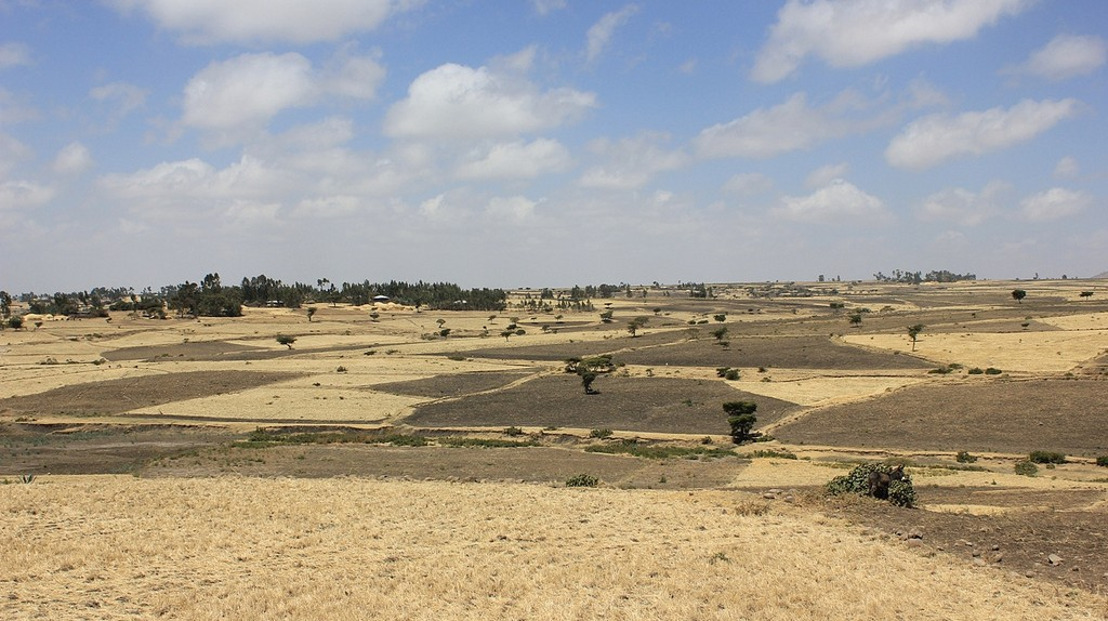 World Soil Day: Opinion piece by Dr Jacqueline Hughes, Director General, ICRISAT.