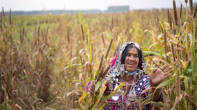 MoU signed to share and develop international agriculture research and learnings with the State of Haryana, India