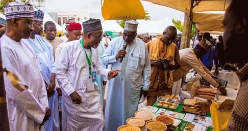 Mali Women Expand Markets for Millet Products