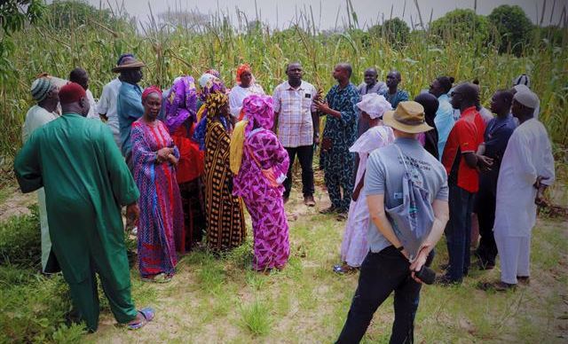 Kingdom of the Netherlands Visits ICRISAT in Mali