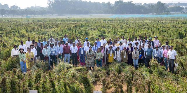 ICRISAT Showcases Innovations in Legume Research at International Conference in Australia