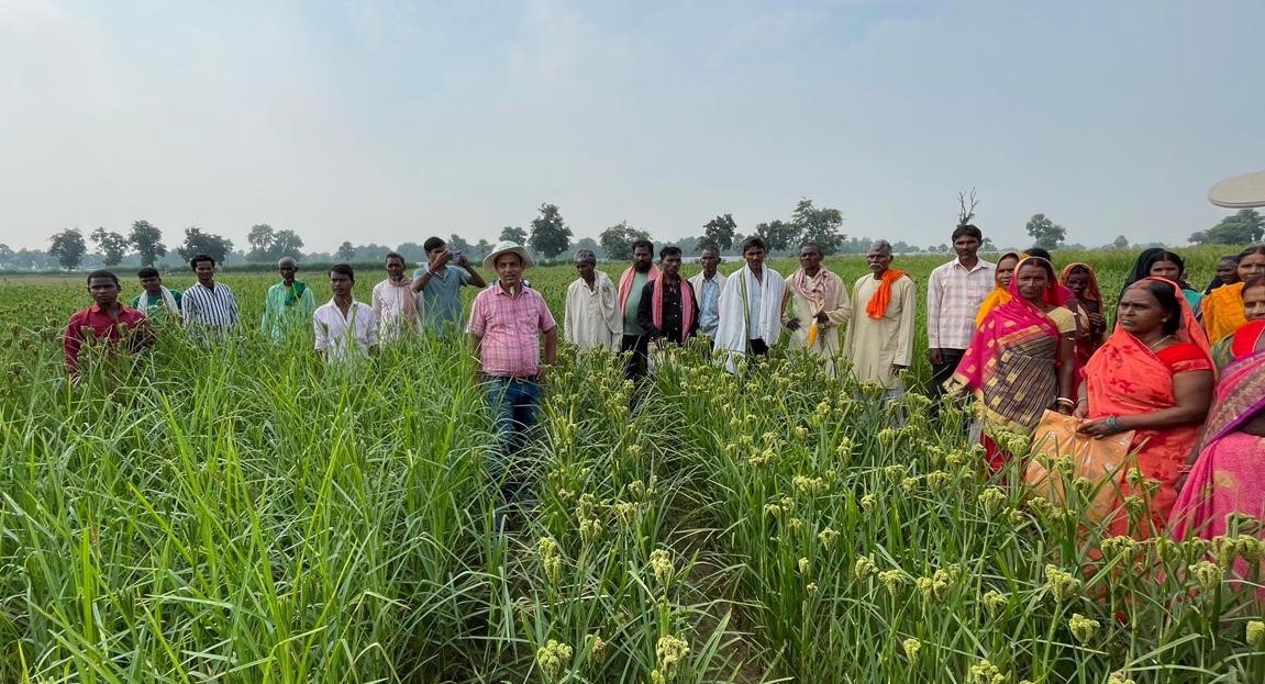 ICRISAT, Bihar Government and Local Partners Advance Food and Nutrition Security through Center of Excellence for Millets in Gaya