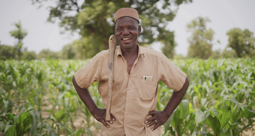 ISSD-Sahel Project Strengthens Seed Sector in Mali and Niger