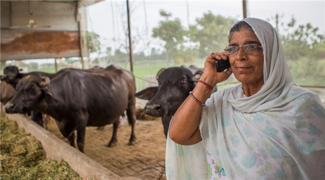 What Do We Know About the Future of Agrifood Systems in South Asia?