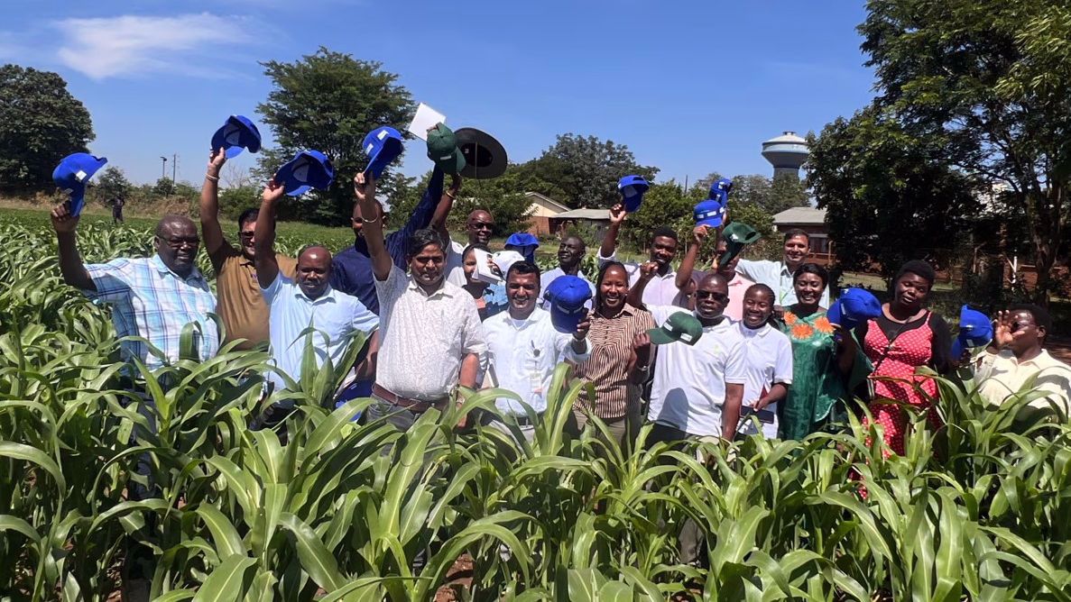 Disease and Pest Management of Legumes and Cereals in Africa