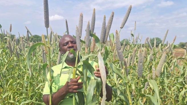 Seeds of Hope: Overcoming Zimbabwe's Drought Crisis with Community-led Innovation