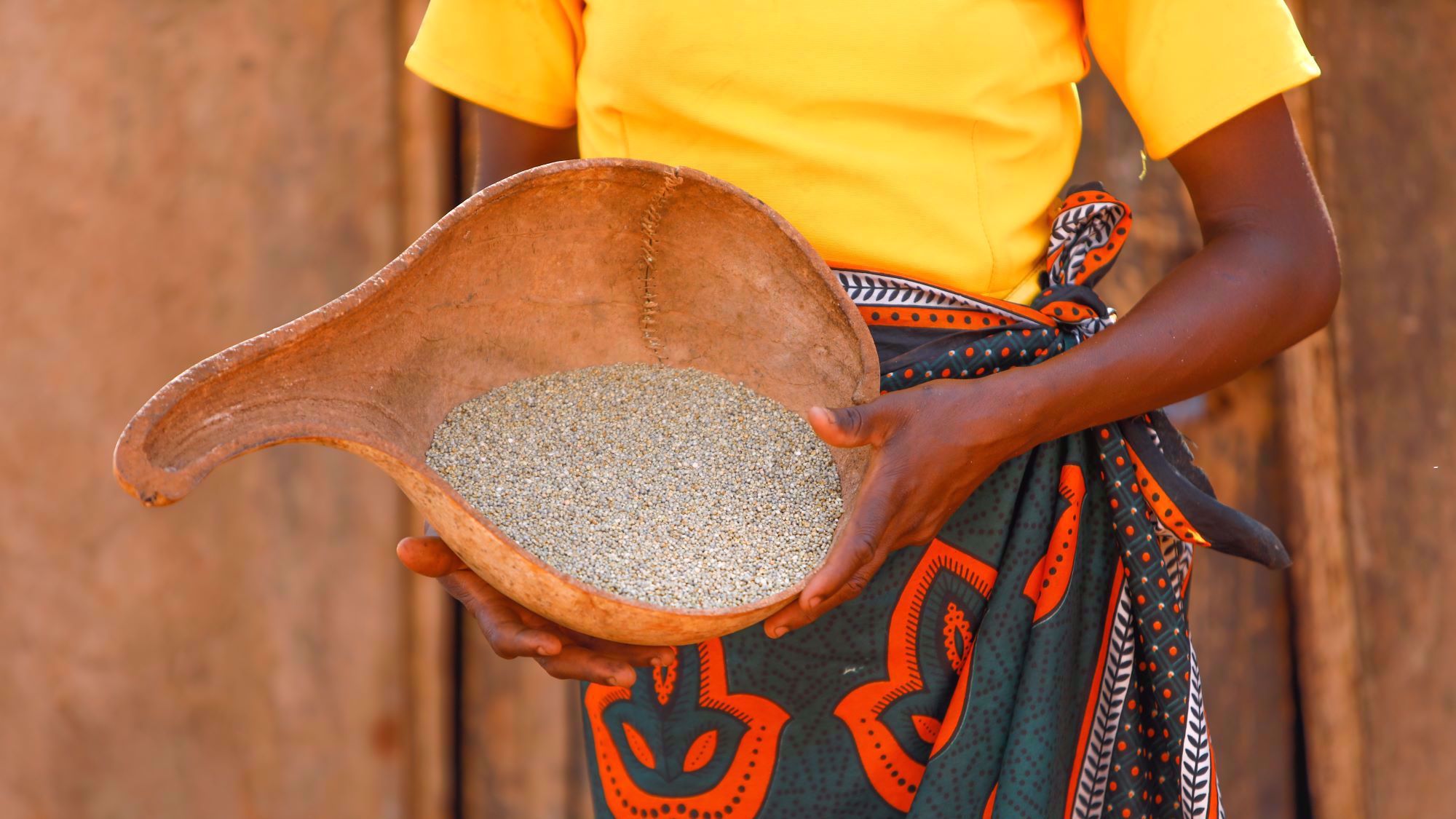 Empowering Women Through SmartFood Traning in Balleyara, Niger