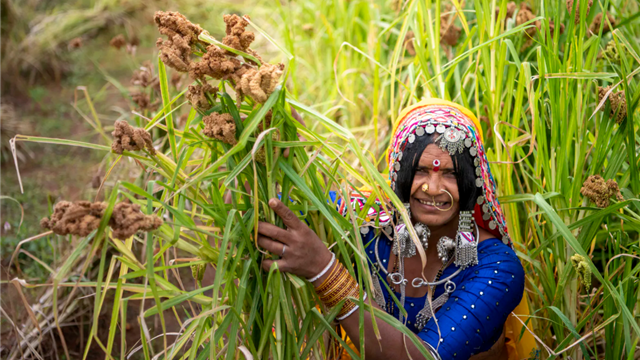 Labor to Leadership: The Rising Role of Women in Agriculture-Dependent Communities