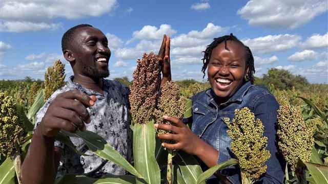 Over 1,000 Farmers in Kenya's Semi-Arid Regions Trained in Climate-Smart Innovations
